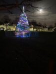 Christmas Tree at night