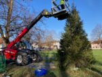Decorating the tree