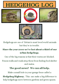 School Poster Hedgehog